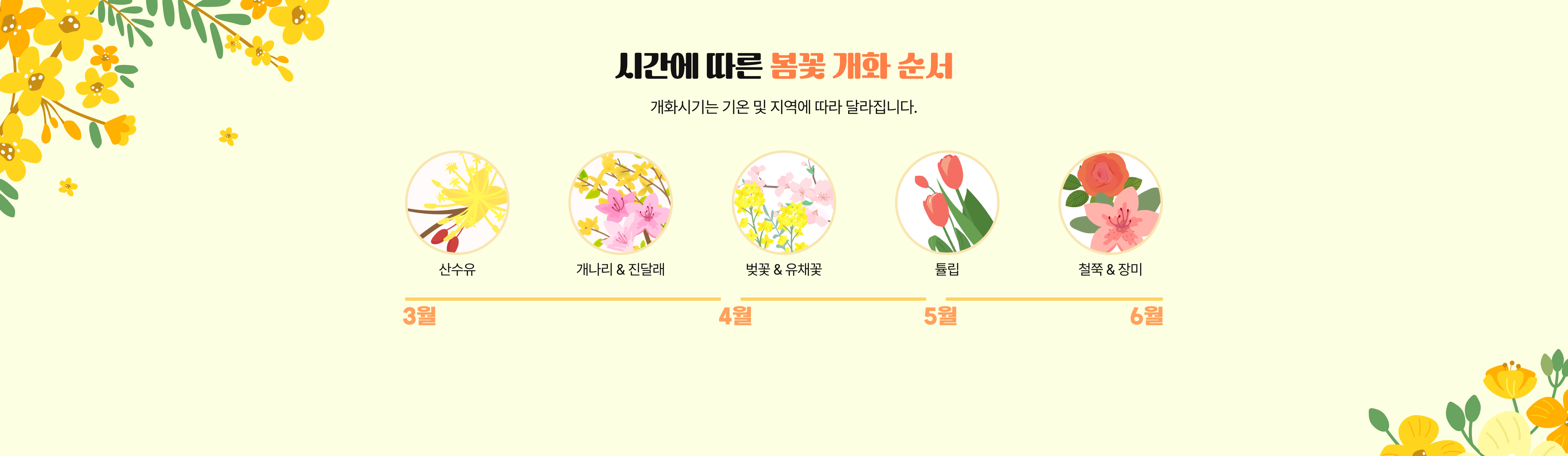 시간에 따른 봄꽃 개화순서