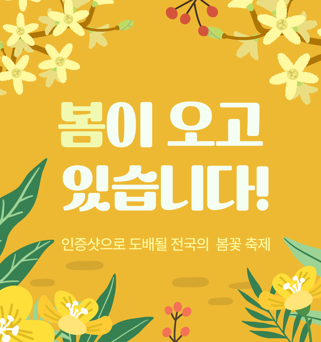 봄이 오고 있습니다! 인증샷으로 도배될 전국의 봄꽃 축제