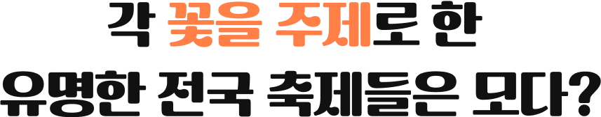 각 꽃을 주제로한 유명한 전국 축제들은 모다?